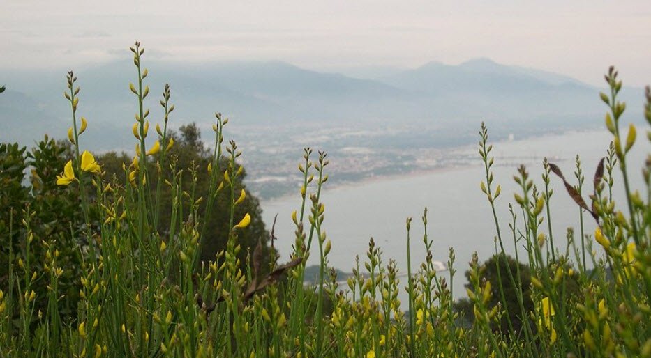 Orto botanico di Montemarcello, Italy, Italy